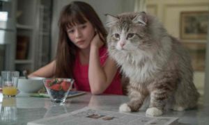 Nine Lives Film Review – One for Animal Humor Fans