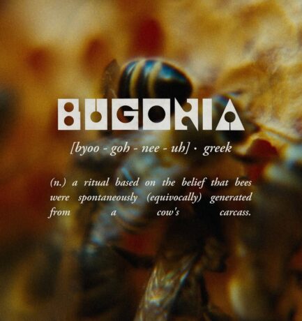 Absurdist Comedy Finds Emma Stone & Jesse Plemons at the Top of Their Game